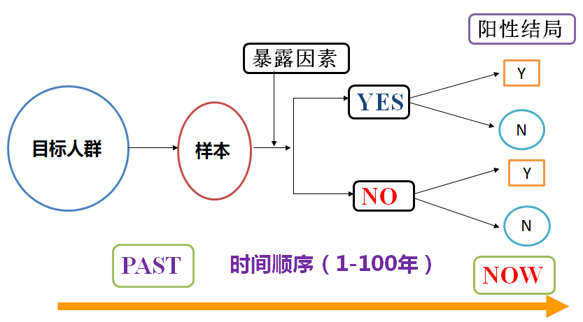 2024澳门天天开好彩免费资料提供_可持续发展执行探索_soft16.901