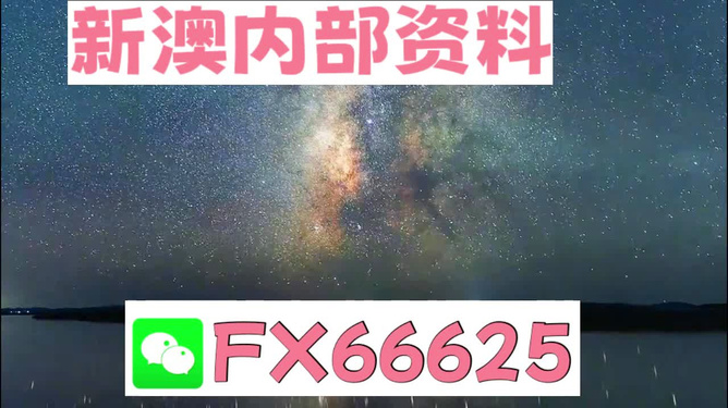 新澳2024正版资料免费公开_数据导向设计解析_安卓版66.217