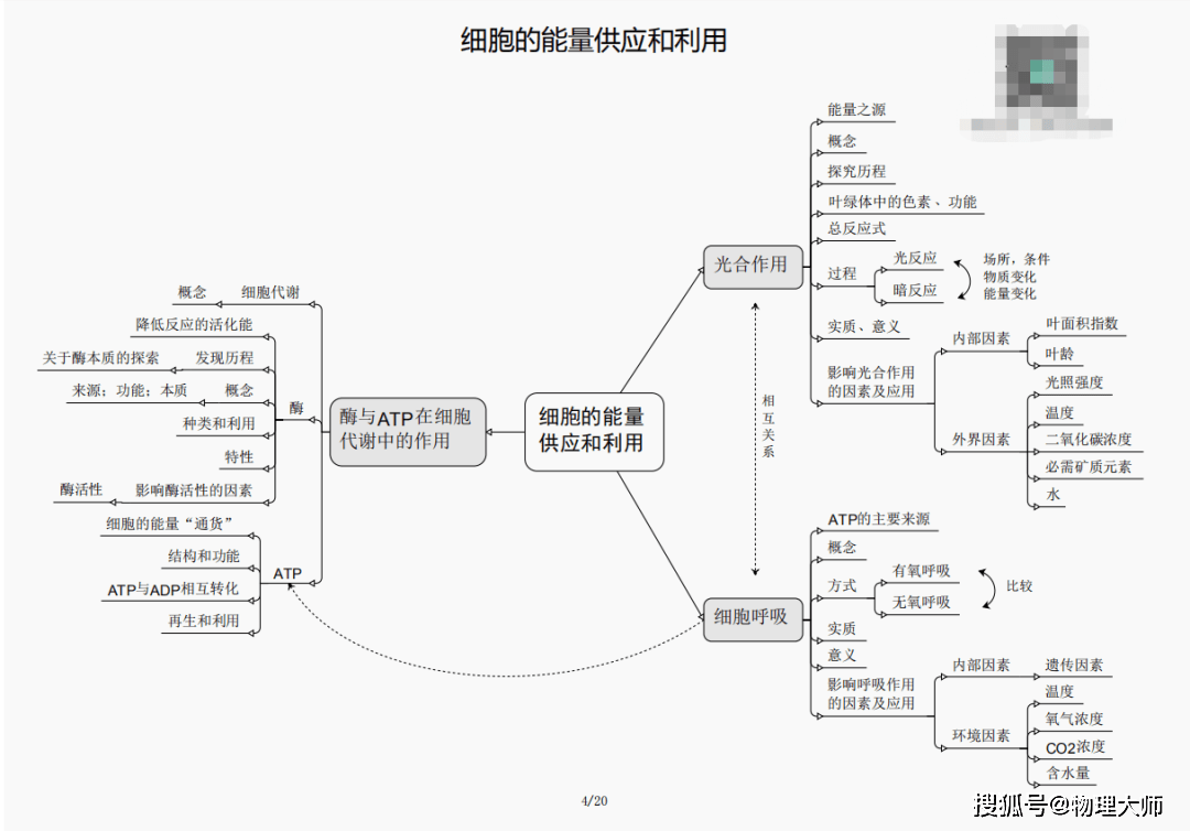 白小姐三肖三期必出一期开奖虎年_适用性计划解读_Executive85.945