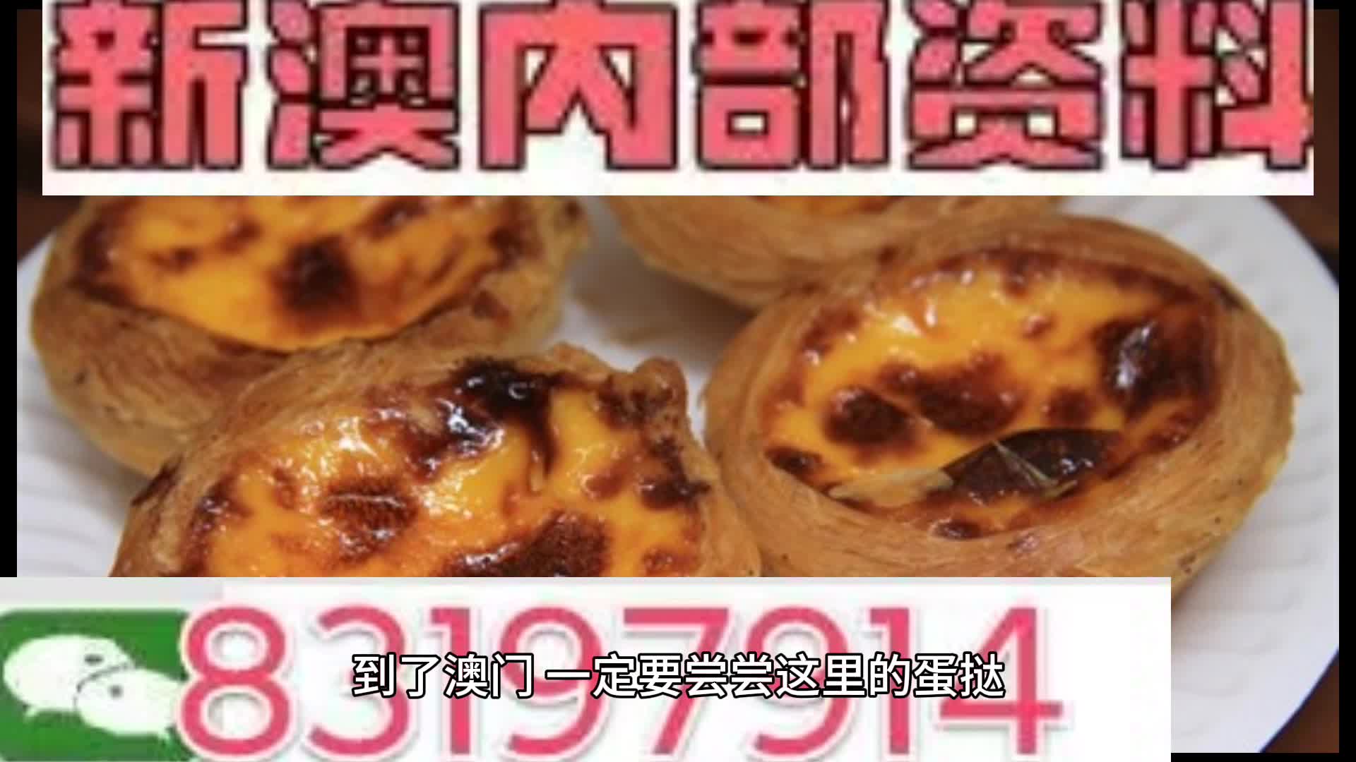 新奥门资料大全正版资料2024