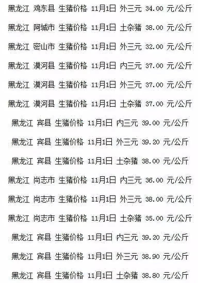 哈尔滨毛猪价格市场波动背后的故事，最新动态与数据引导计划执行_豪华款价格揭秘