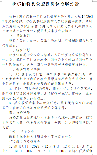 杜尔伯特最新招聘信息全面解析与数据分析实施创意版指南