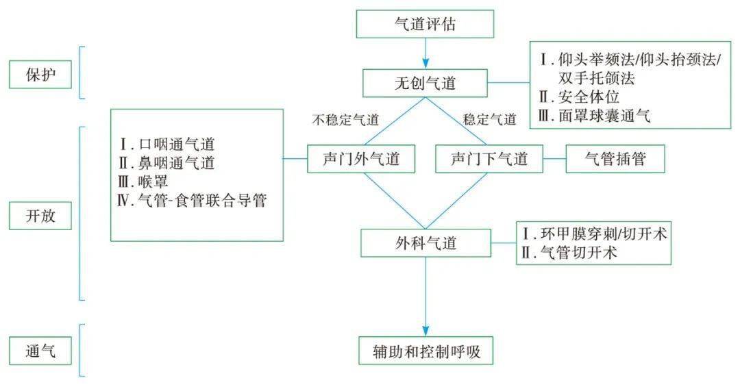 最新气道管理指南重塑呼吸健康，HarmonyOS动态调整策略的执行新篇章