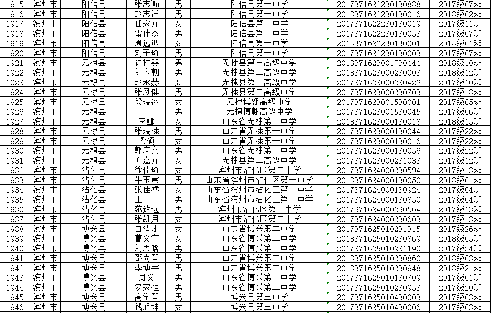 滨州市干部公示新篇章，实效设计解析策略展望