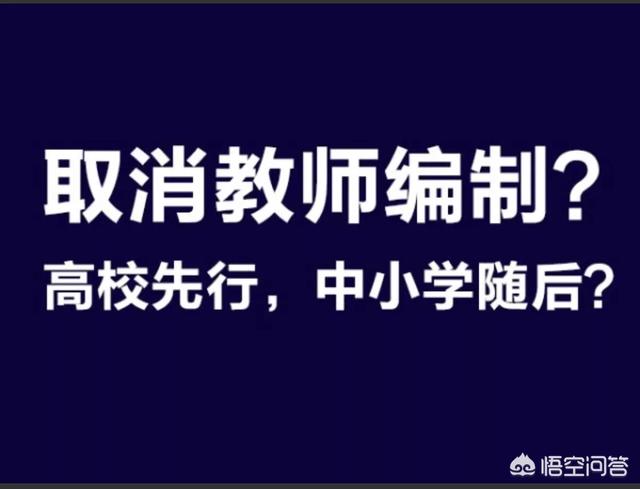 中小学教师编制改革深度解析，最新消息与背后思考