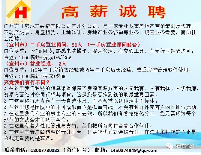 宜州最新招聘动态，职业发展的新机遇与词语解释落实之道