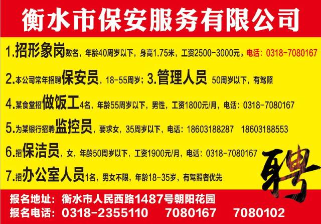 南和最新招聘实地执行考察数据，职场新机遇，共筑美好未来静态版79.821