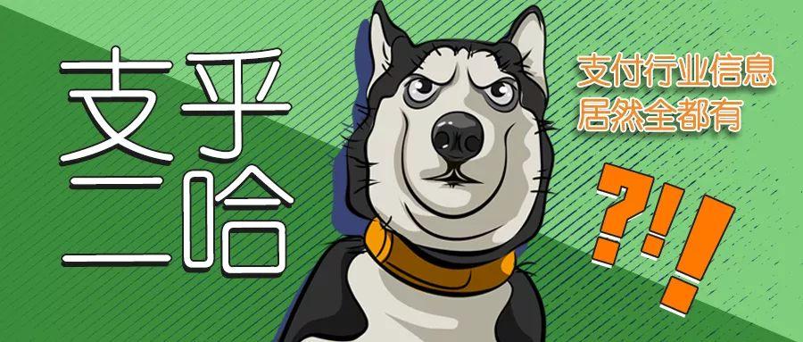 钱宝未来之路，共创辉煌——数据整合计划解析与复古款54.828展望