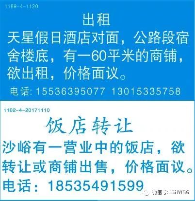 林州最新转让信息揭秘，城市变迁中的商机与活力探索