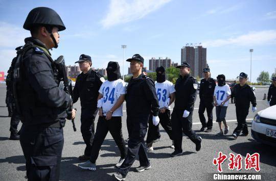 吉林电信诈骗最新动态，警惕新型欺诈手段，实施市场趋势下的财产安全守护方案