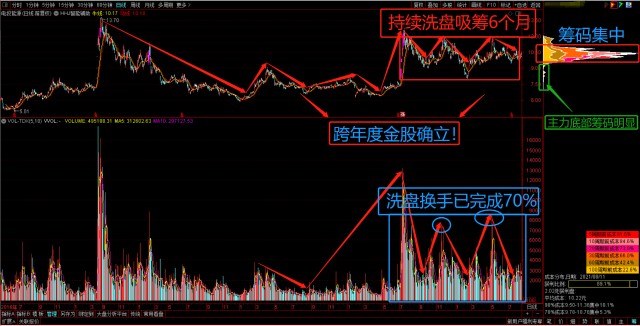 露天煤业改革动态，绿色转型引领行业新篇章，深入数据策略解析报告（粉丝版）